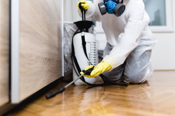 Best Ant Control Services  in San Francisco, CA