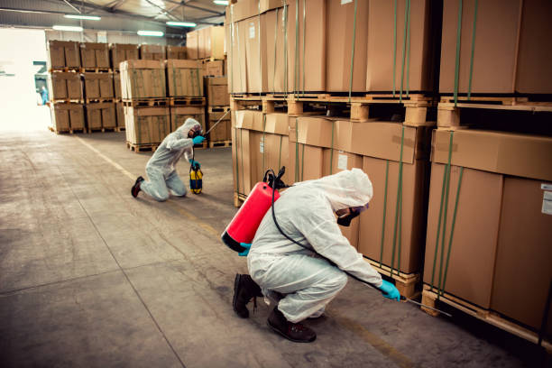 Best Ant Control Services  in San Francisco, CA
