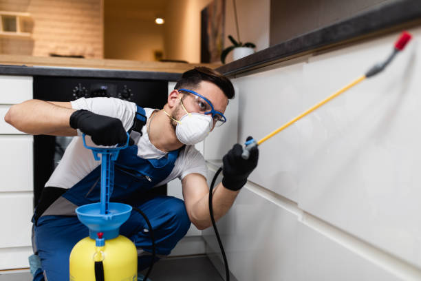 Best Rat Extermination Near Me  in San Francisco, CA