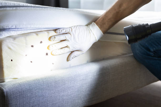 Best Pest Control Near Me  in San Francisco, CA