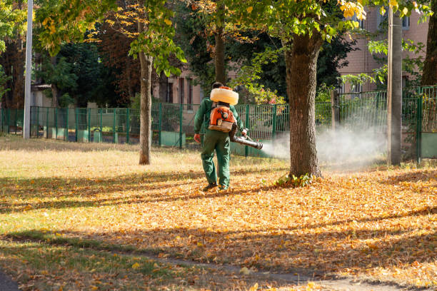 Wildlife Control Services in San Francisco, CA