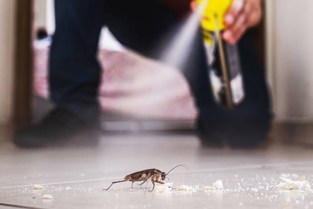 Best Pest Inspection Near Me  in San Francisco, CA